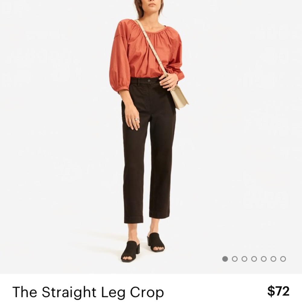 Everlane Straight Leg Crop- Short/0